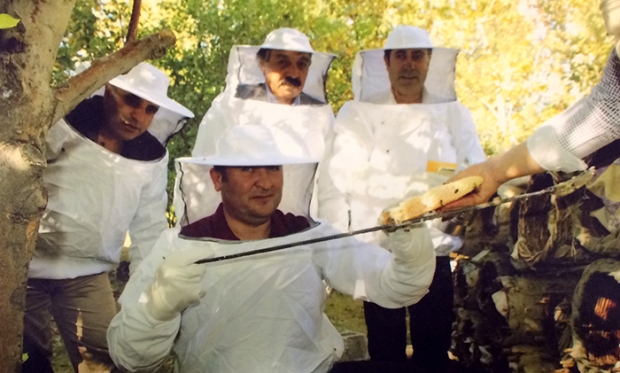 Şifa Bal